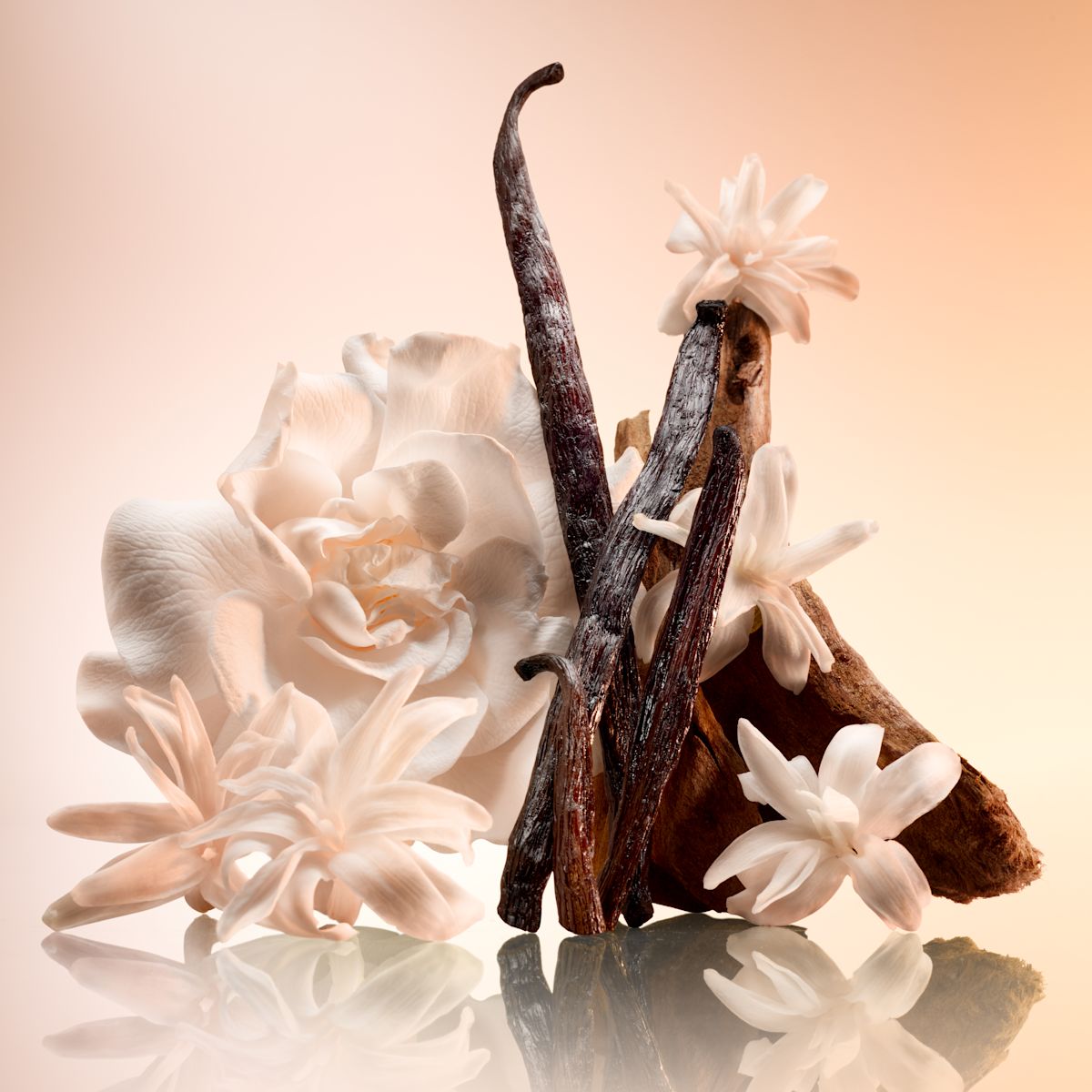 JOYPHORIA INGREDIENTS