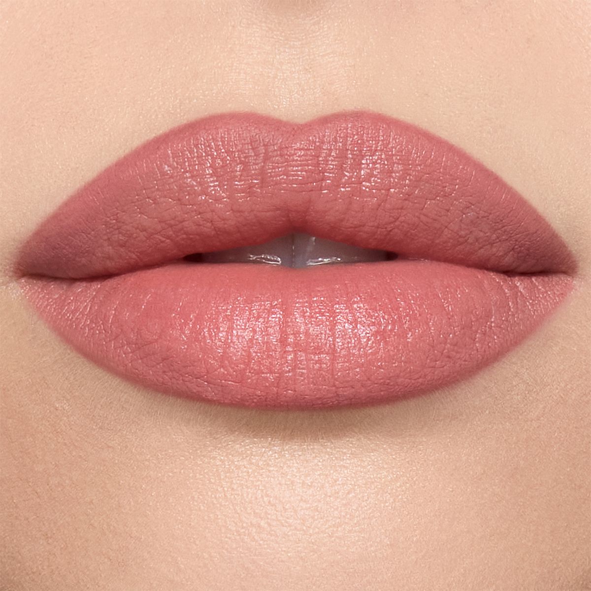 Lip Cheat Pillow Talk Model