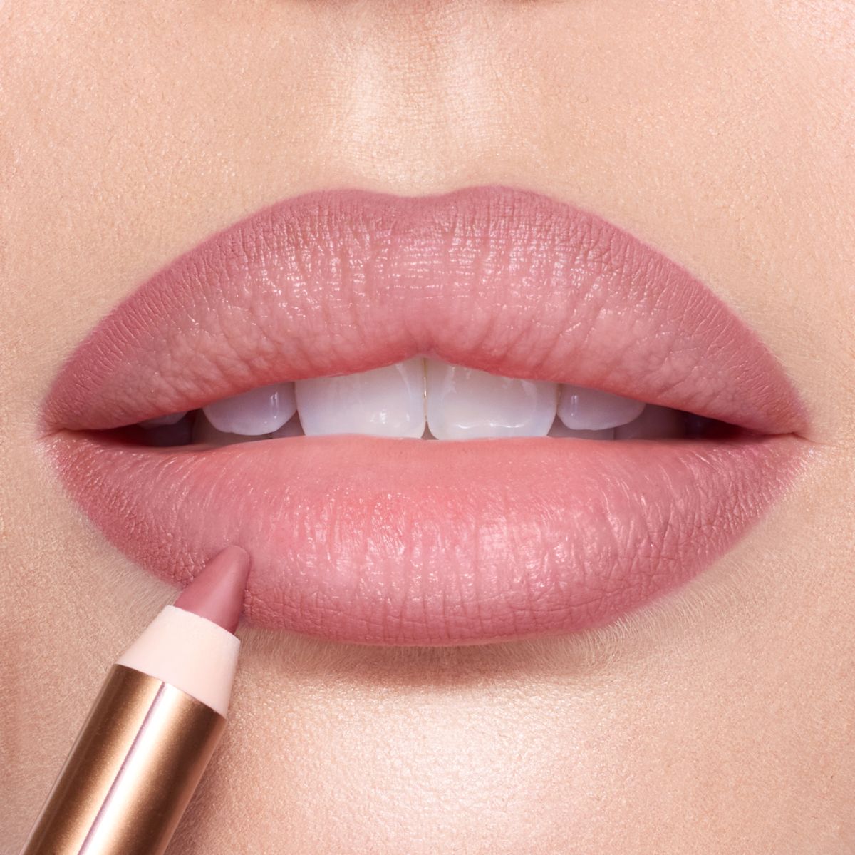 Lip Cheat - Pillow Talk Fair on fair model