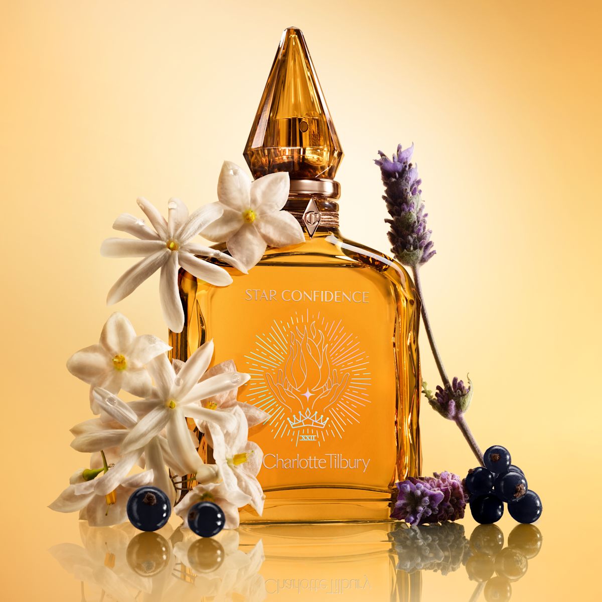 Star Confidence Creative Still Main Ingredients