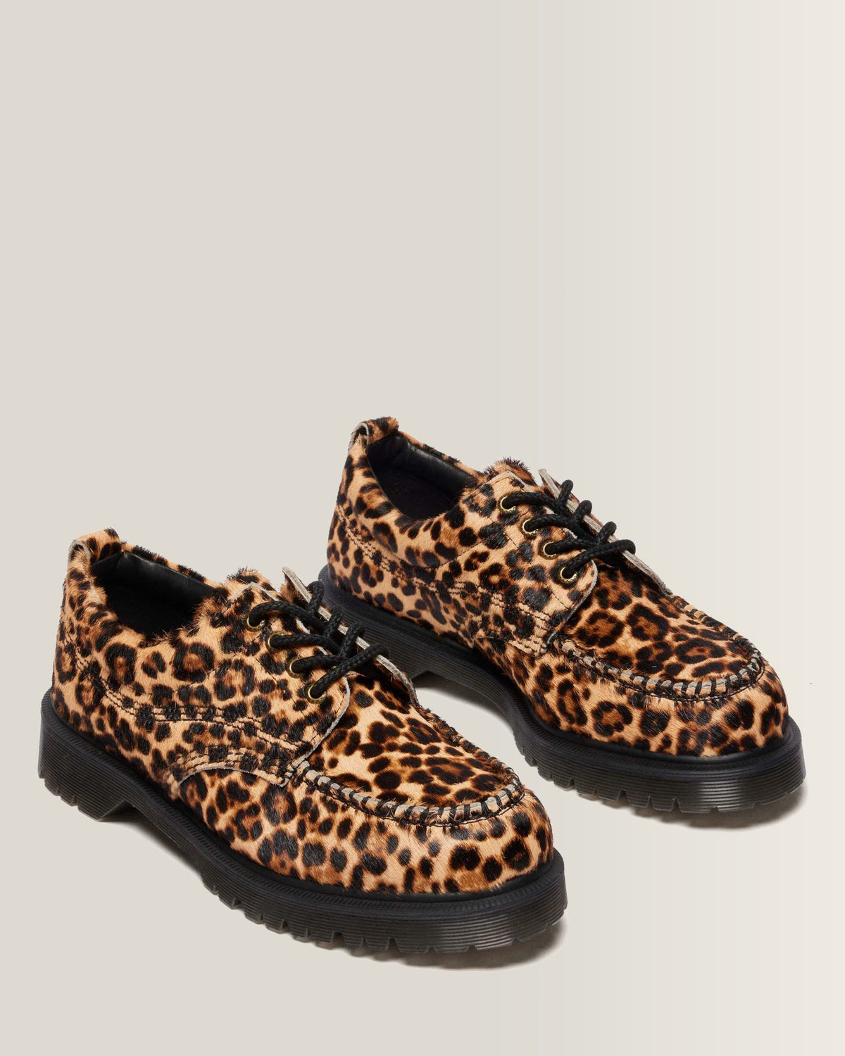 LOWELL - view 4